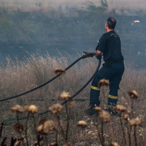 Πυροσβέστης επιχειρεί με μάνικα σε σημείο όπου η φωτιά σβήνει 