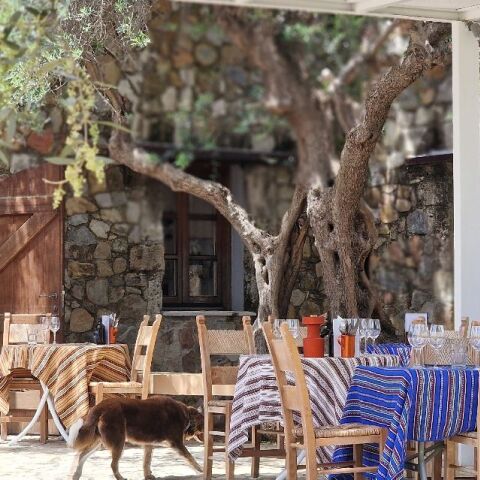 Οινοποιείο Μανουσάκη