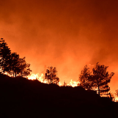 Όλοι μαζί τα κάψαμε