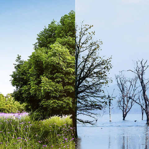 Συγκρατημένα ανήσυχοι οι Έλληνες για το κλίμα