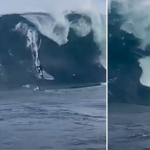 Τασμανία: 38χρονος σέρφερ εξαφανίστηκε όταν έπεσε πάνω του ένα πελώριο κύμα στο πιο επικίνδυνο σημείο - Κάμερα κατέγραψε τη συγκλονιστική σκηνή επιβίωσης.