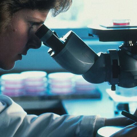 Έρευνα: Σχεδόν 200 δυνητικοί καρκινογόνοι παράγοντες βρέθηκαν σε υλικά που έρχονται σε επαφή με τρόφιμα - Συμπεριλαμβανομένων των πλαστικών και του χαρτιού.