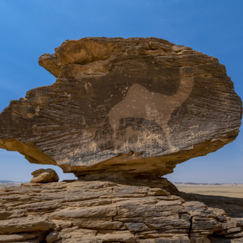 Πολιτιστική Εβδομάδα Σαουδικής Αραβίας