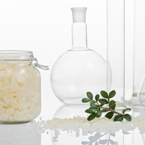 Tα οφέλη της µαστίχας