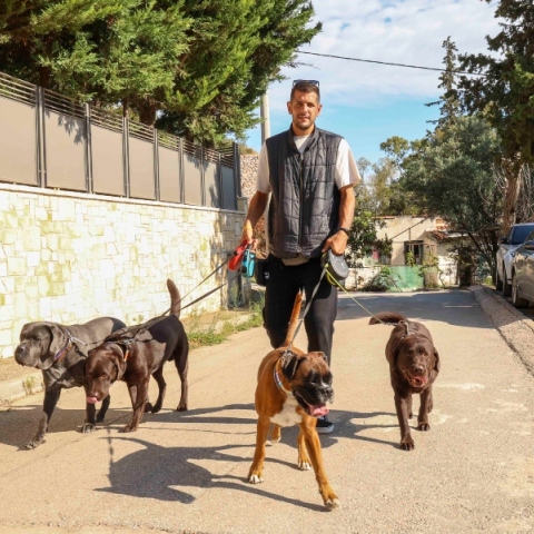 Οι pet sitters της Αθήνας