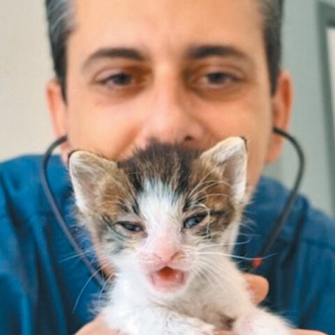 Surgivets: Υψηλού επιπέδου εξειδικευμένη ιατρική φροντίδα για τα ζώα συντροφιάς