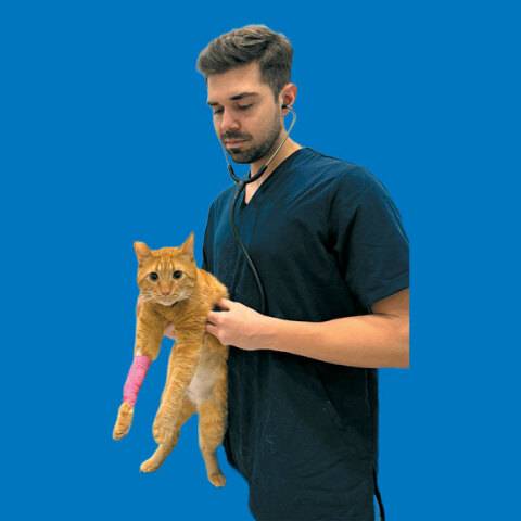 YourVet: Κατ’ οίκον κτηνιατρική φροντίδα