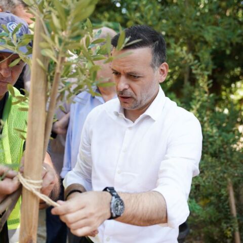 Δήμος Αθηναίων: Η Αθήνα πρασινίζει - Ξεπεράσαμε τα 3.000 νέα δέντρα
