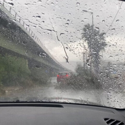 Πτώση δέντρων λόγω κακοκαιρίας στην Αθηνών - Κορίνθου