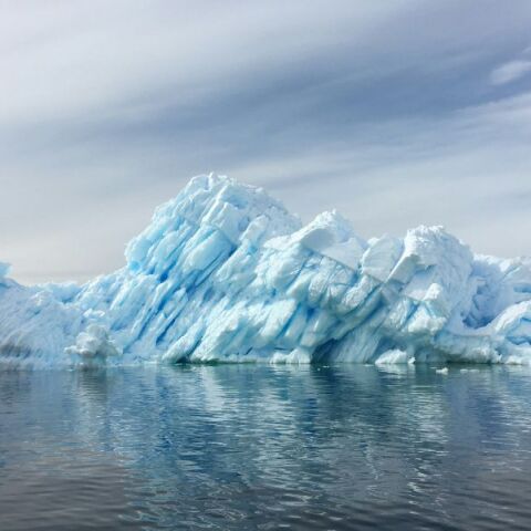 Ανταρκτική 