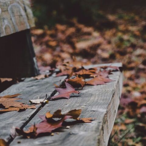 Εορτολόγιο: Σήμερα 7 Οκτωβρίου 2024 γιορτάζει…