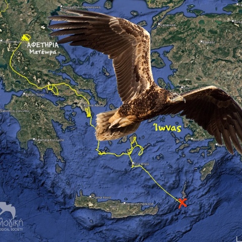 Ασπροπάρης Ίωνας