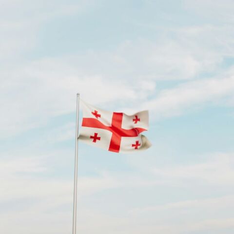 Η προειδοποίηση του Ευρωπαϊκού Κοινοβουλίου για τη Γεωργία