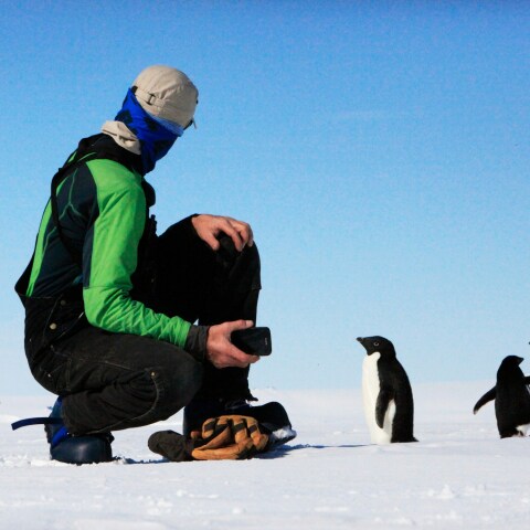 Ανταρκτική