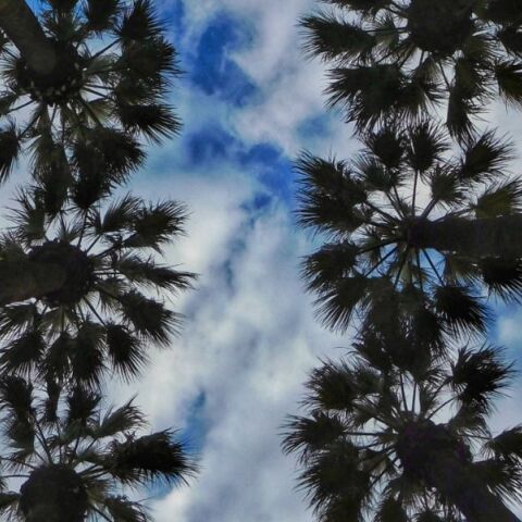 Με συννεφιά και έως τους 32 °C ο καιρός την Παρασκευή - Πού θα βρέξει