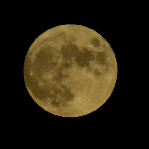 Πανσέληνος