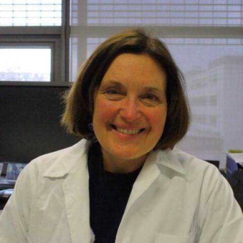 Σούζαν Ίτον