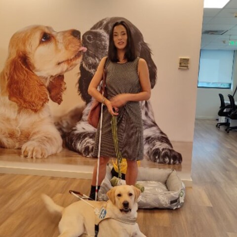 pet-city-scholi-skylon-odigon-lara-seminario-gia-tin-pagkosmia-imera-lefkou-bastouniou-medet