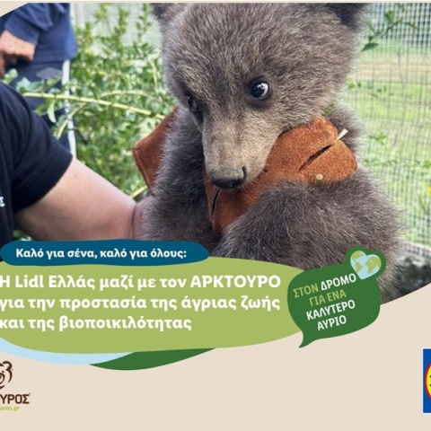 lidl-hellas-arktouros