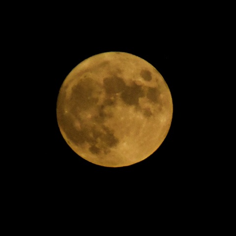 Πανσέληνος