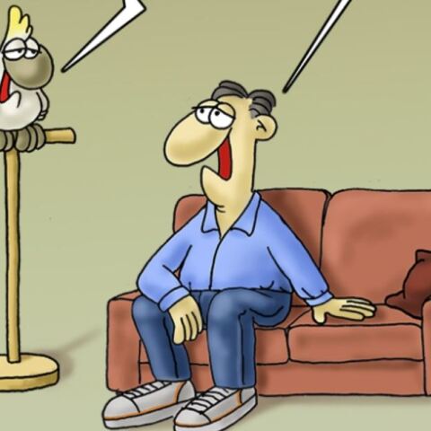 arkas