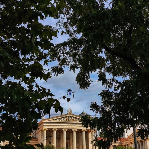 Φύλλα δέντρου στο κέντρο της Αθήνας και πίσω το κεντρικό κτίριο του Πανεπιστημίου Αθηνών