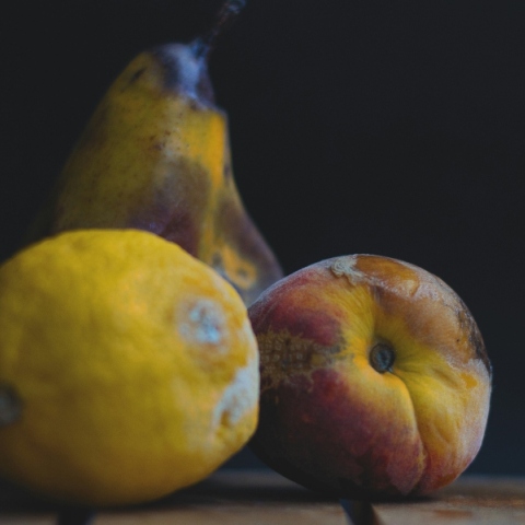 Ανακλήσεις τροφίμων: όλο και πιο συχνές μετά την πανδημία και να γιατί 