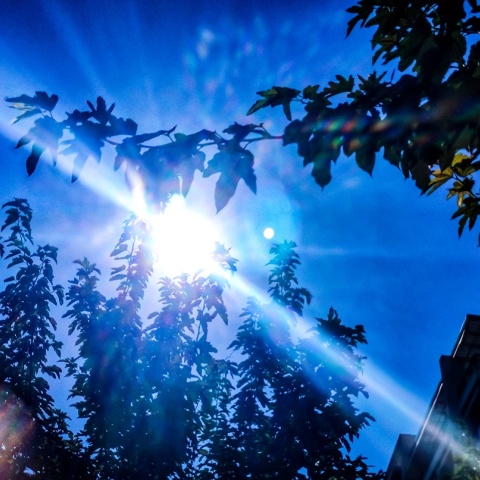 Ηλιοφάνεια