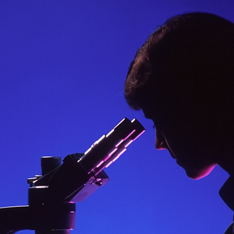 Μικροσκόπιο ερευνητή