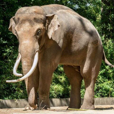 untitled_design_-_2024-10-25t204838_800