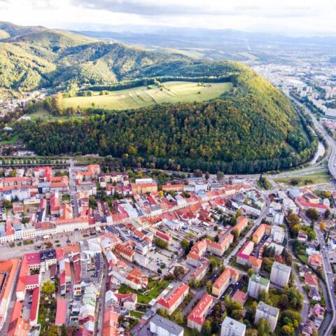 untitled_design_-_2024-10-25t212332_037