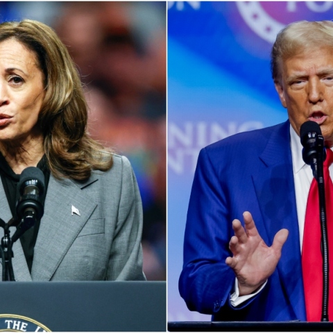 Τραμπ vs Χάρις: Οι Αμερικανικές εκλογές σε αριθμούς