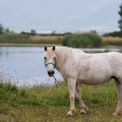 Οικοτουριστικοί θησαυροί της Ελλάδας: Ταξίδεψε σε 7 παραδεισένιους προορισμούς