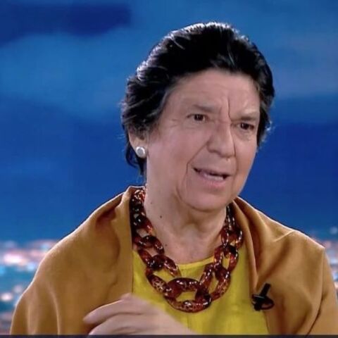 Μαρία Ευθυμίου: Η συνέντευξη της γνωστής ιστορικού στην εκπομπή «Μεγάλη Εικόνα» του MEGA