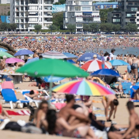 Τουρίστες, αυτά τα άγρια πλήθη