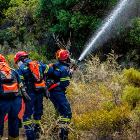 Φωτιά τώρα στα Χανιά - Μεγάλη κινητοποίηση της Πυροσβεστικής