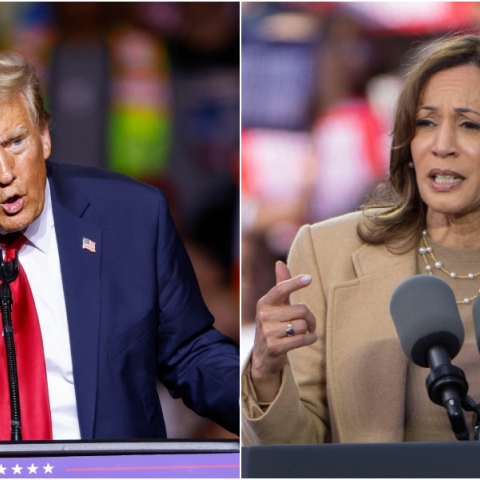 Εκλογές ΗΠΑ 2024: Ο «γκουρού» των προβλέψεων Άλαν Λίκτμαν είπε ποιος θα είναι νικητής