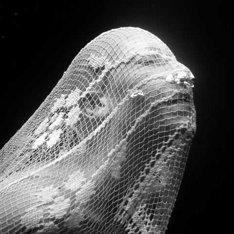 Ο υποβρύχιος κόσμος της Ρενέ Ρεβάχ  