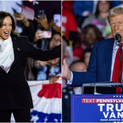 Εκλογές ΗΠΑ 2024: 10 λόγοι για τους οποίους Χάρις και Τραμπ μπορούν να κερδίσουν 