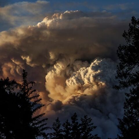 Κλίμα: Σχεδόν βέβαιο ότι το 2024 θα είναι η θερμότερη χρονιά που έχει καταγραφεί ποτέ