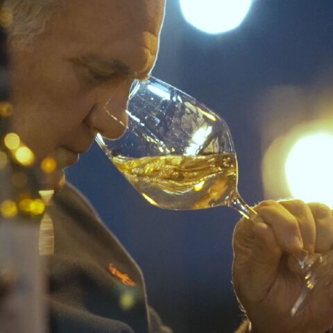 Δημήτρης Χατζηνικολάου