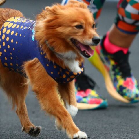 Ξεκινούν νωρίτερα και ενισχύονται τα δρομολόγια του μετρό λόγω διεξαγωγής του 41ου Αυθεντικού Μαραθωνίου της Αθήνας - Κυκλοφοριακές ρυθμίσεις στο τραμ