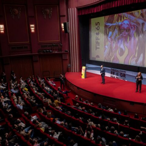 untitled_design_-_2024-11-10t224743_480