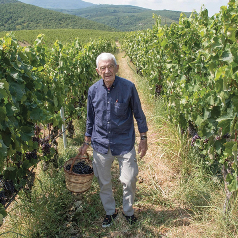 Τα νούμερα της εβδομάδας | 7 - 13 Νοεμβρίου 2024