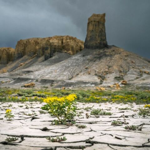 COP29: Η ΕΕ ζητά την οικονομική συμβολή όλων των χωρών στην παγκόσμια δράση για το κλίμα