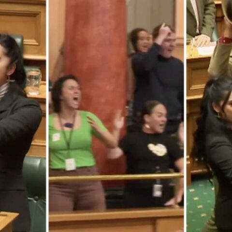 Νέα Ζηλανδία: Μαορί βουλευτές διέκοψαν τις εργασίες του κοινοβουλίου και χόρεψαν χάκα για να διαμαρτυρηθούν 