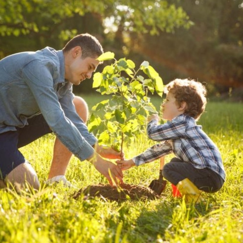 Εθνική Τράπεζα