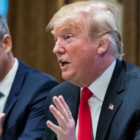 ΗΠΑ: Ο Ντόναλντ Τραμπ προορίζει τον πρώην βουλευτή, πατέρα εννιά παιδιών και παρουσιαστή του Fox Σον Ντάφι για το υπουργείο Μεταφορών.