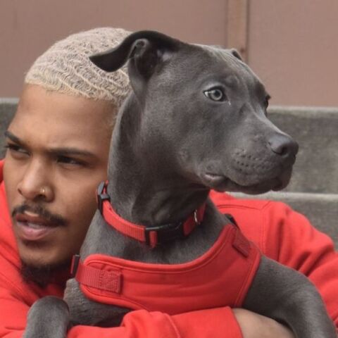 Νέα Υόρκη: Άνδρας πέταξε σκύλο από τον 14ο όροφο επειδή τσακώθηκε με τον ιδιοκτήτη του