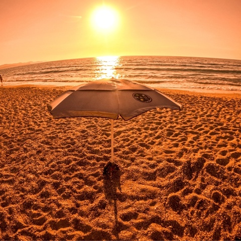 Το 2024 ήταν το πιο ζεστό καλοκαίρι για τις ελληνικές θάλασσες τα τελευταία 40 χρόνια